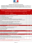 questionnaire mineur